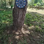 Casa Do Lagar * 오비도스