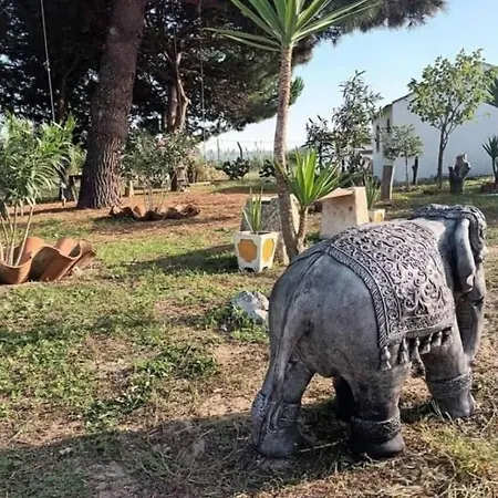 Casa de Férias Casa Do Lagar *