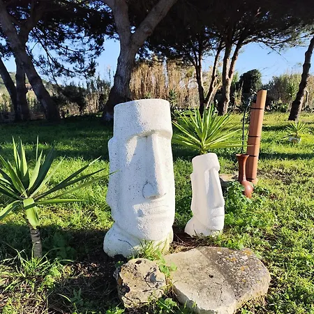 Casa Do Lagar Σπίτι διακοπών