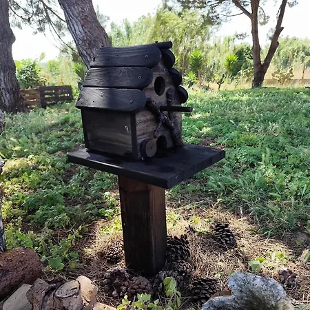 Σπίτι διακοπών Casa Do Lagar Όμπιδος