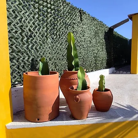 Casa de Férias Casa Do Lagar *