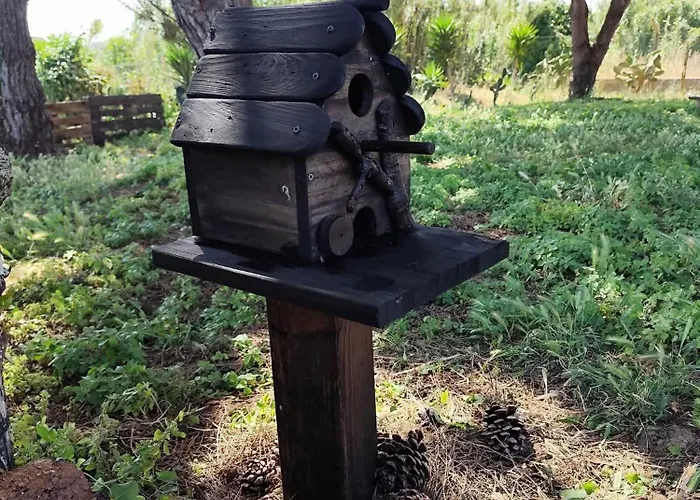 Ferienhaus Casa Do Lagar Óbidos