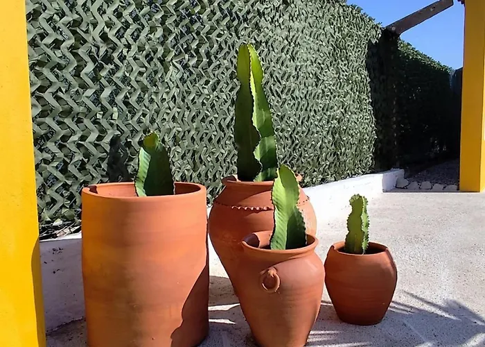 Ferienhaus Casa Do Lagar *